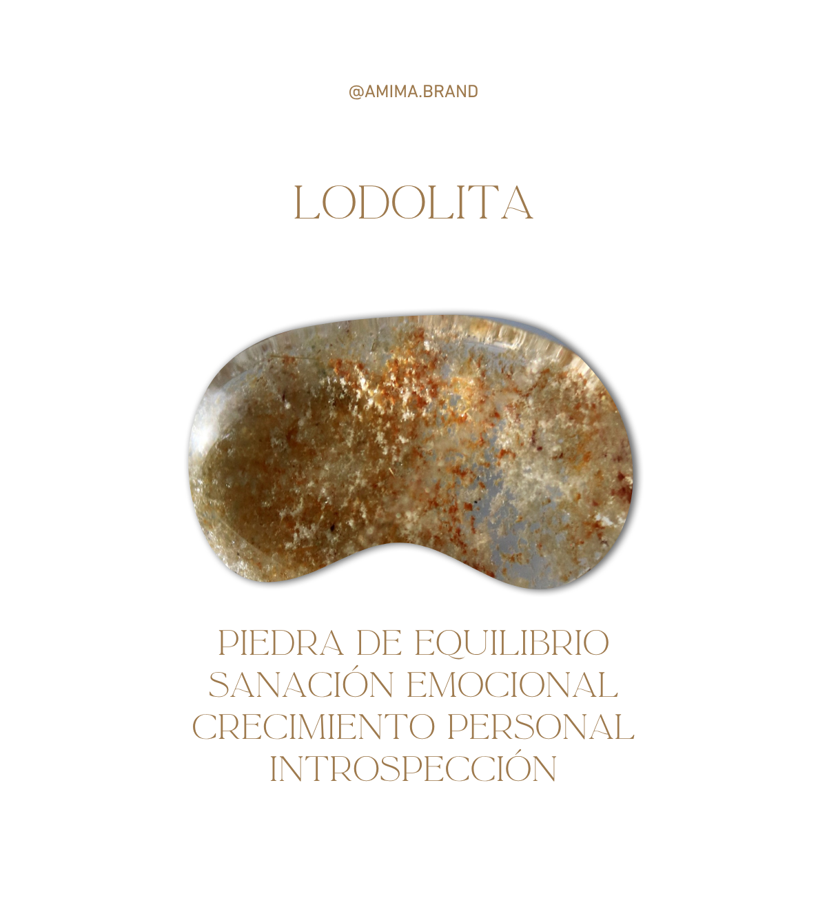 CHARM LODOLITA